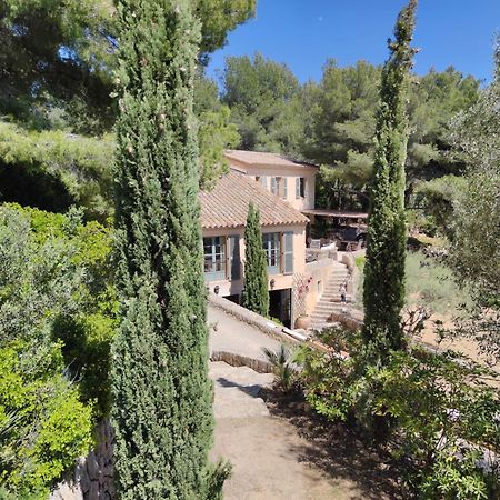 Villa Des Oliviers Санари-сюр-Мер Экстерьер фото